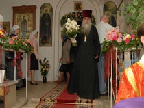 ����� ���� 2008